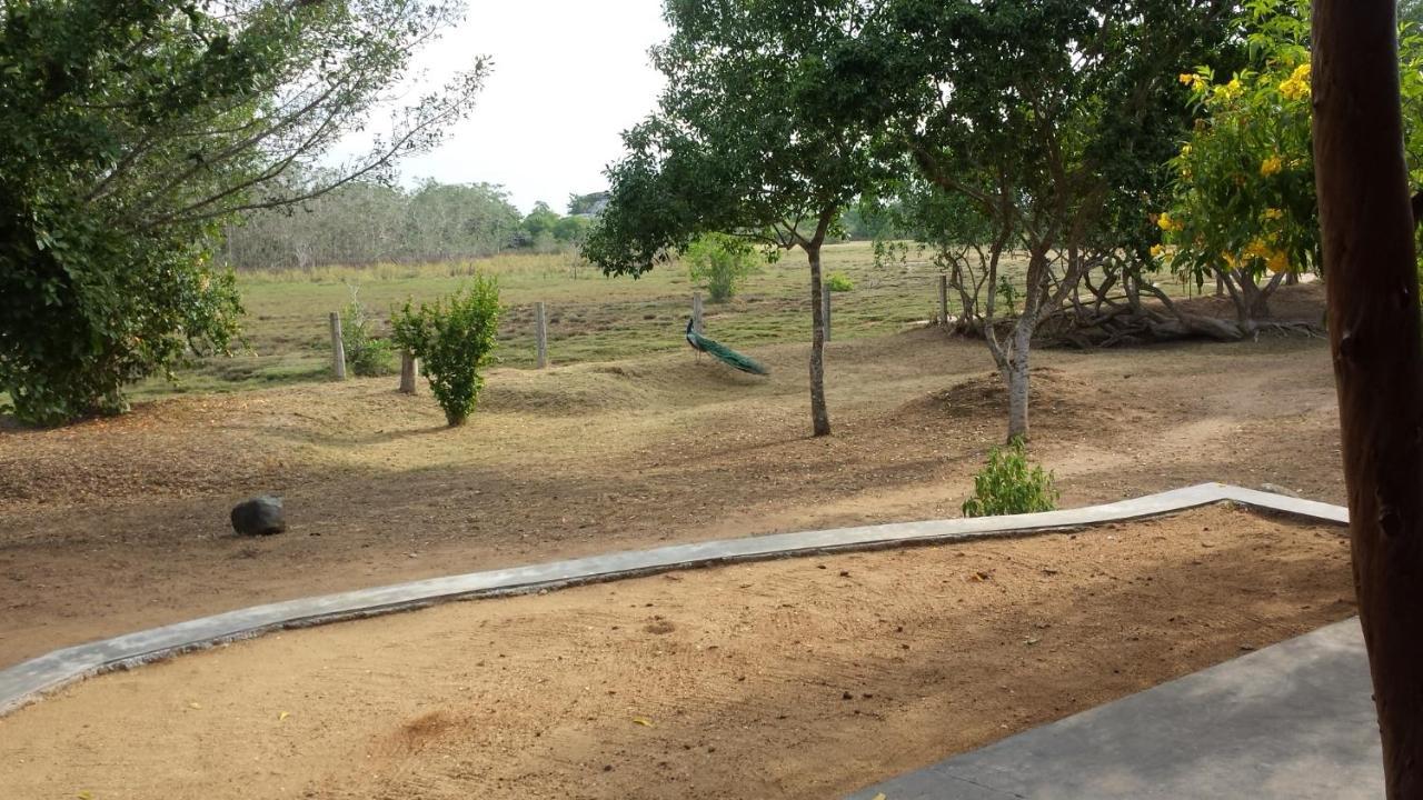 Taragala Chalets Kalametiya ภายนอก รูปภาพ